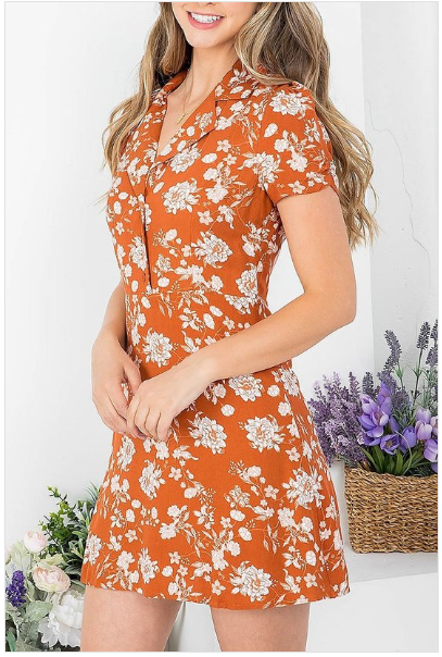 Dalila Mini Dress
